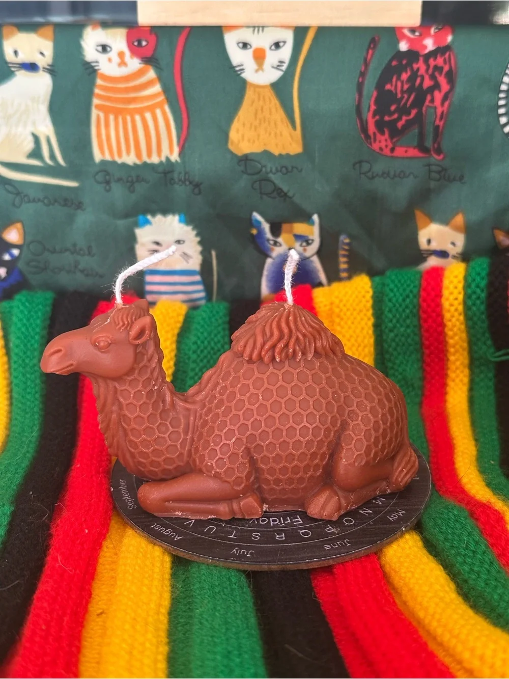 Camel Candle – Double Wick